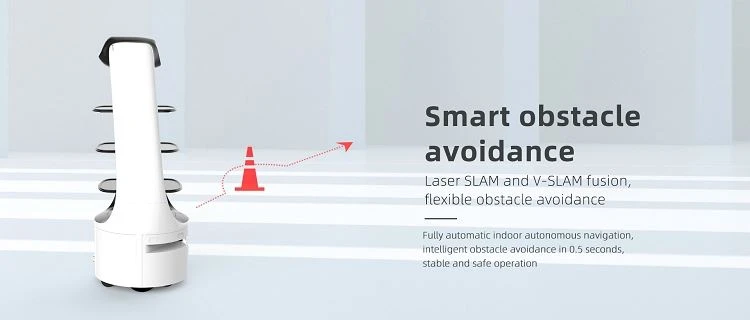 Avoid obstacles